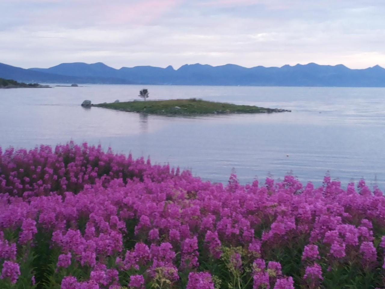 Prima Lofoten Myrland Esterno foto