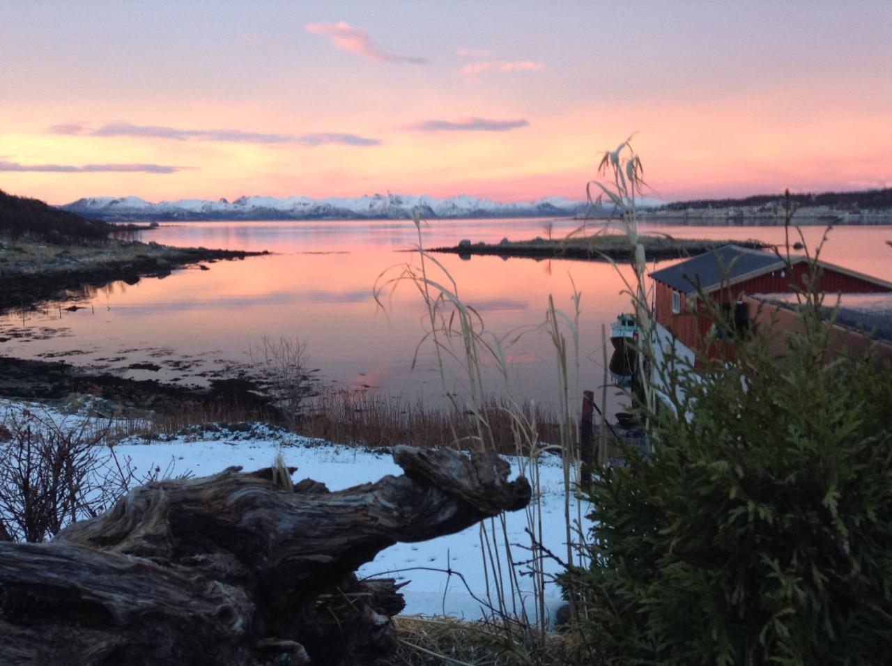 Prima Lofoten Myrland Esterno foto