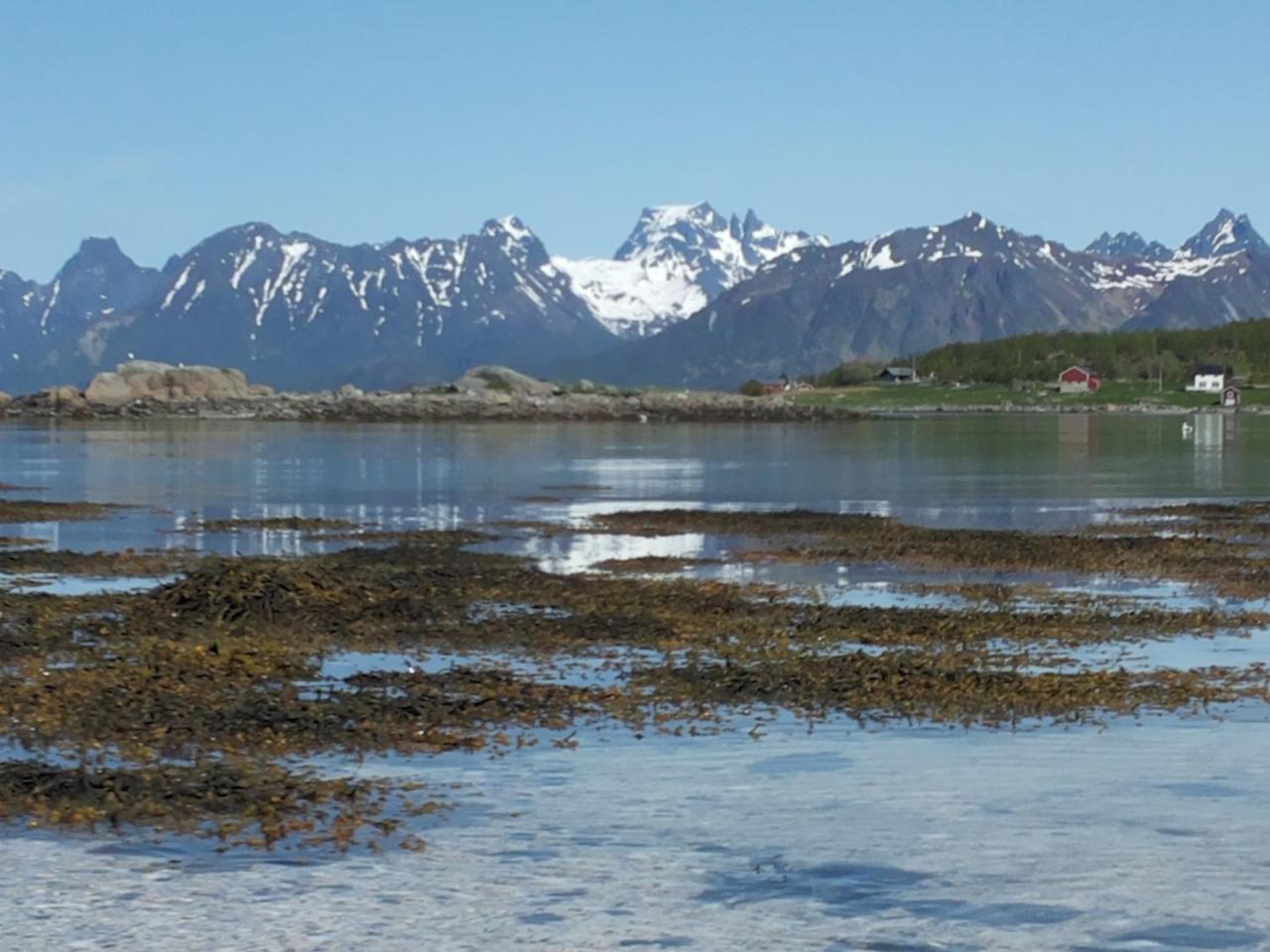 Prima Lofoten Myrland Esterno foto